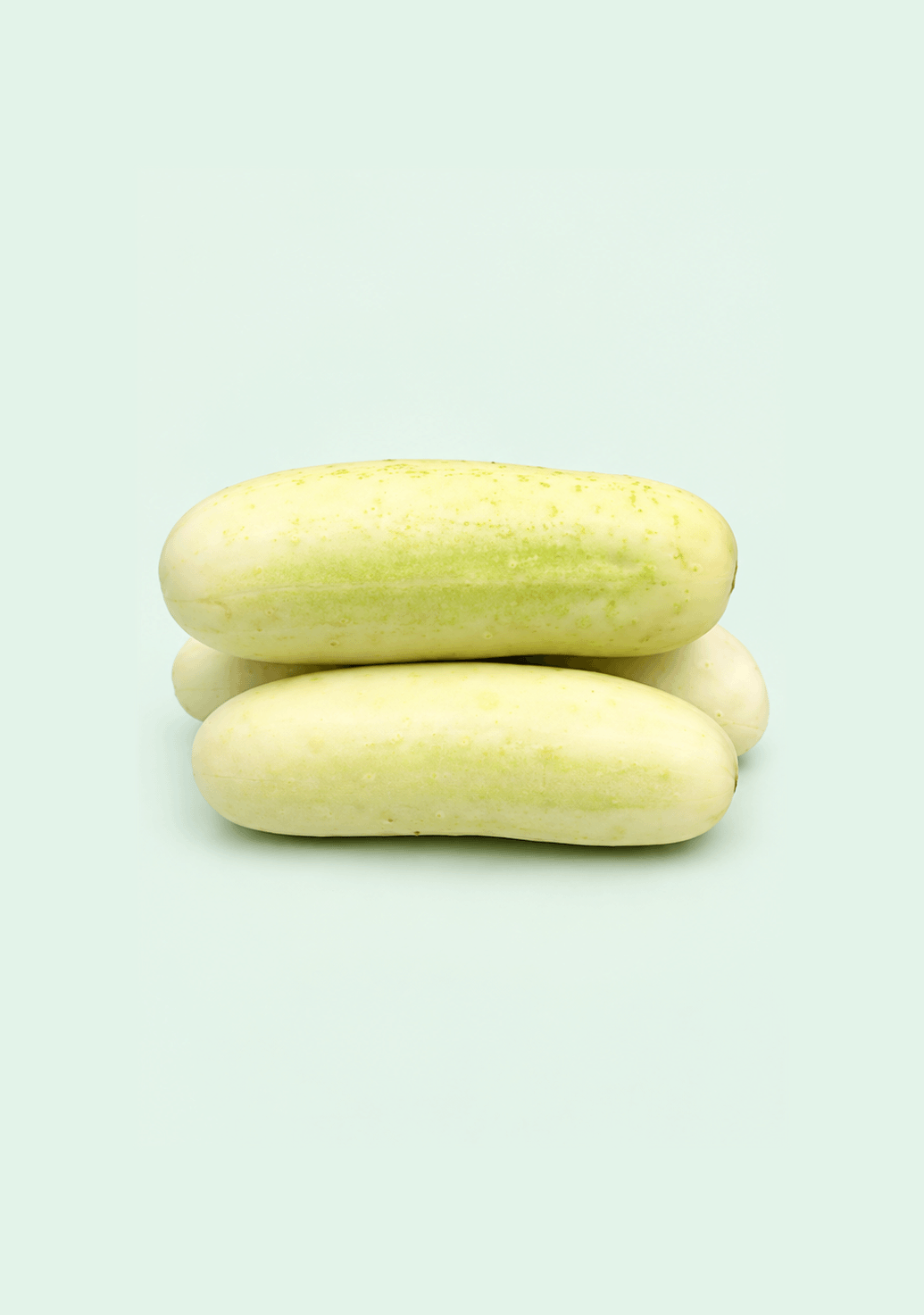 Cucumber White [Ozone - Washed] gif