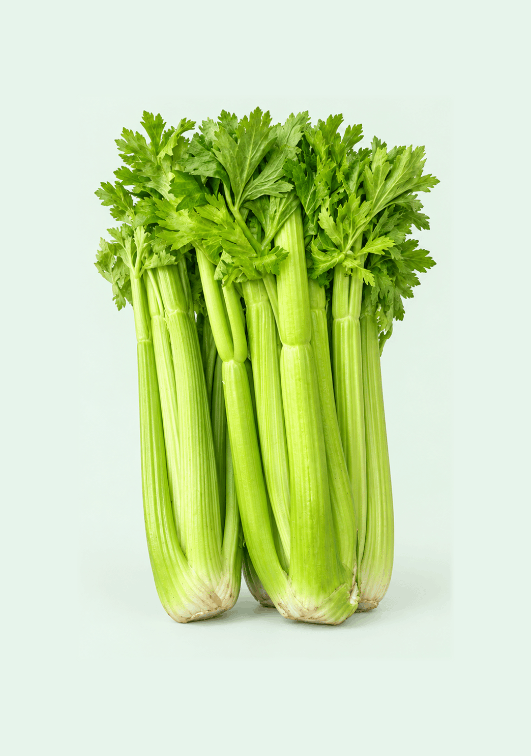 Celery gif