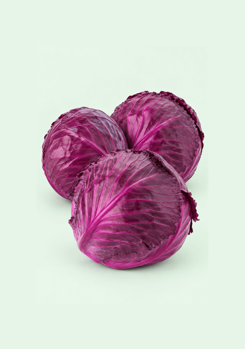Cabbage Red gif