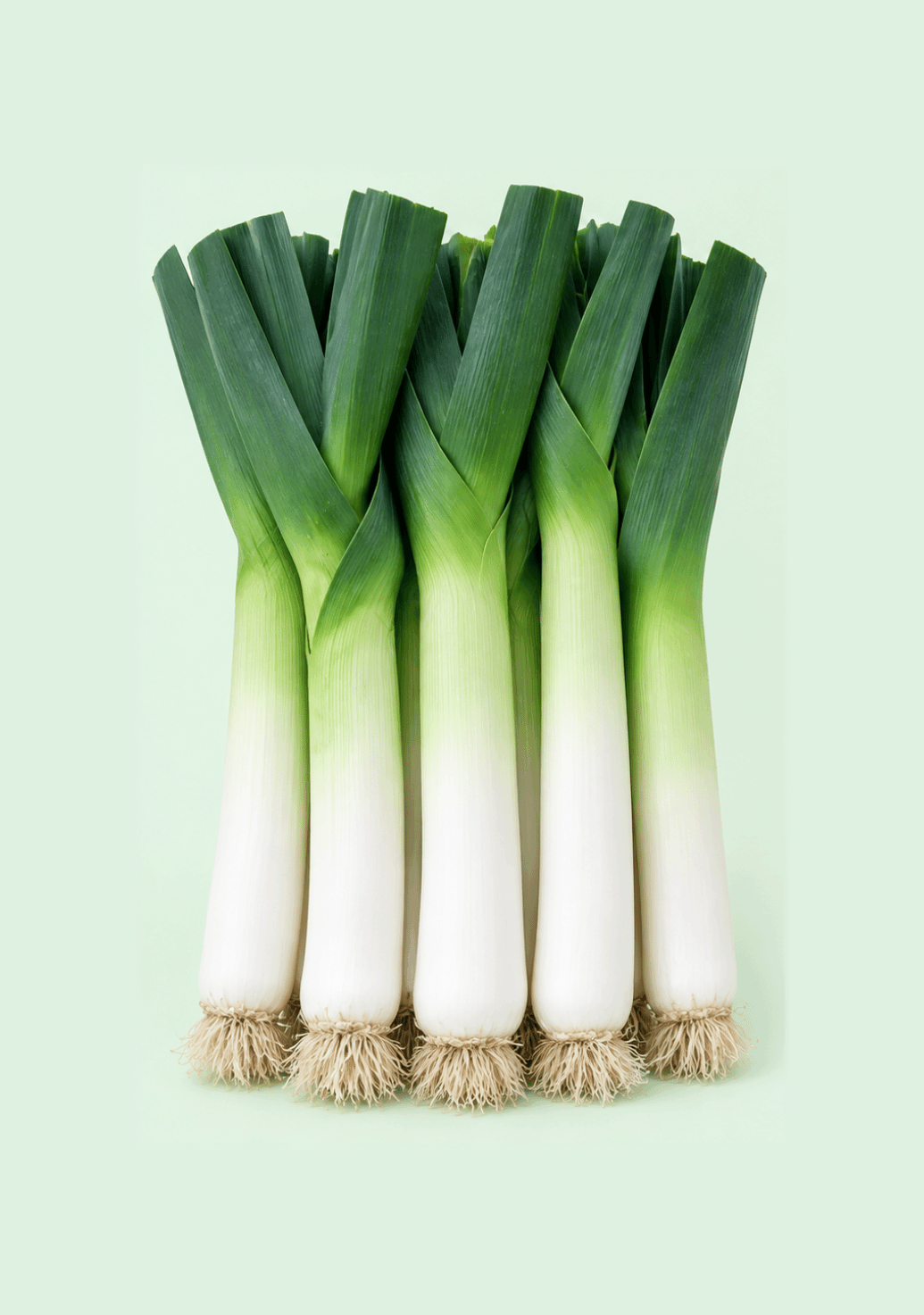 Leeks gif