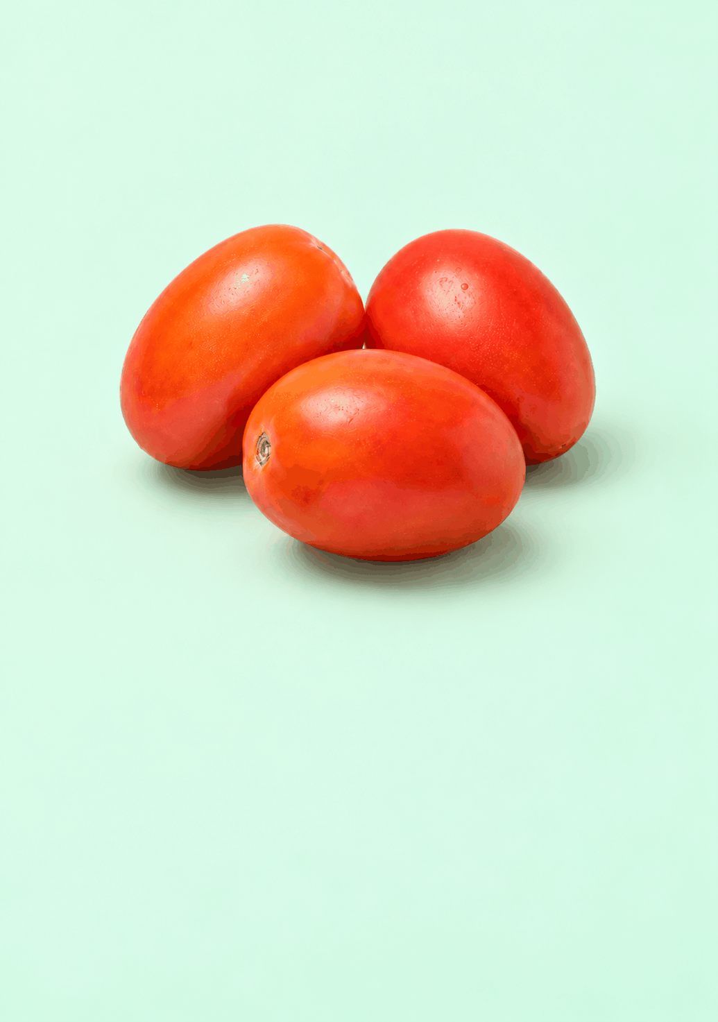 tomato hybrid gif
