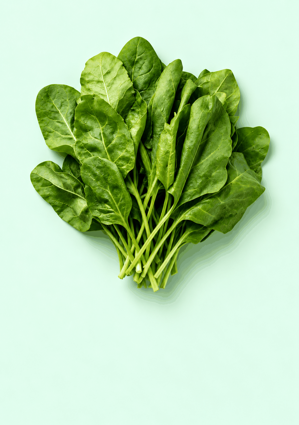 Spinach [Palak] gif