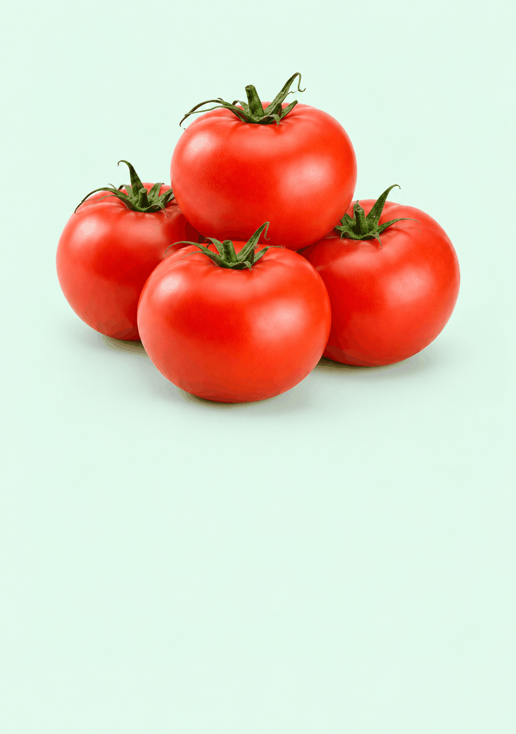 Tomato Country gif