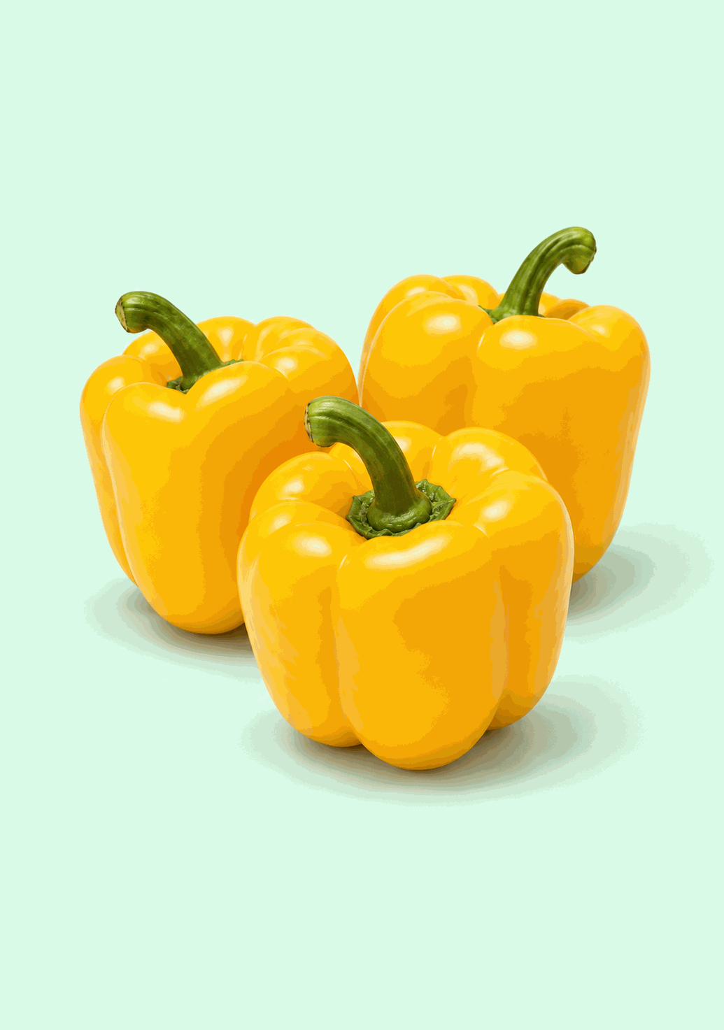 Capsicum Yellow [Ozone-Washed] gif