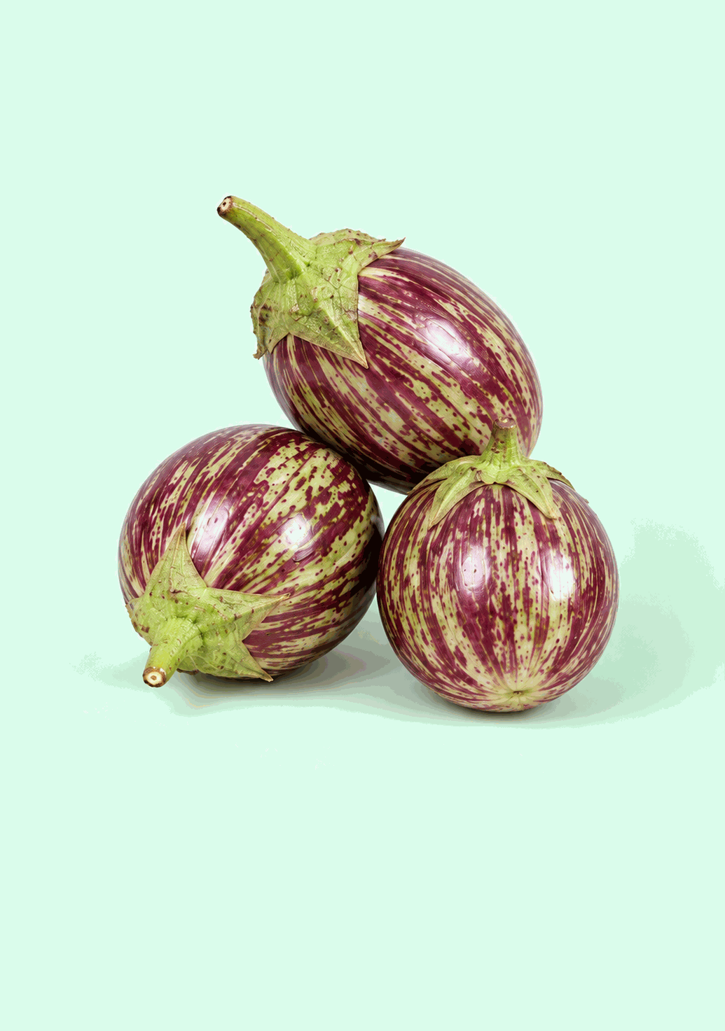 Brinjal Kateri gif