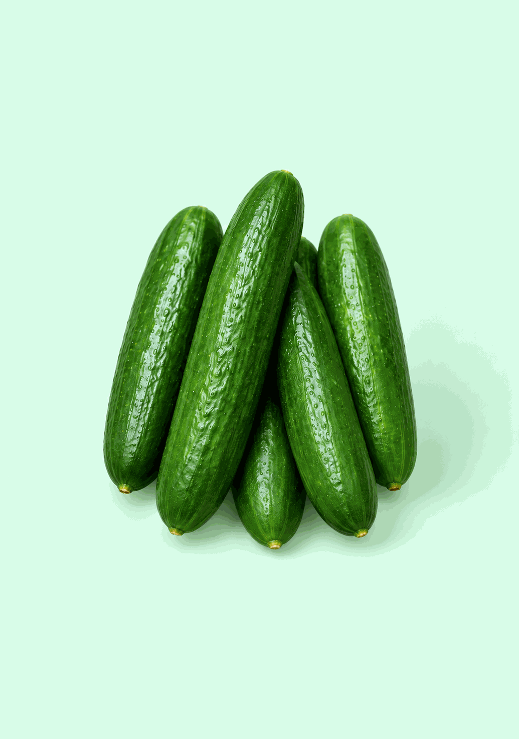 Cucumber Green [Ozone-Washed] gif