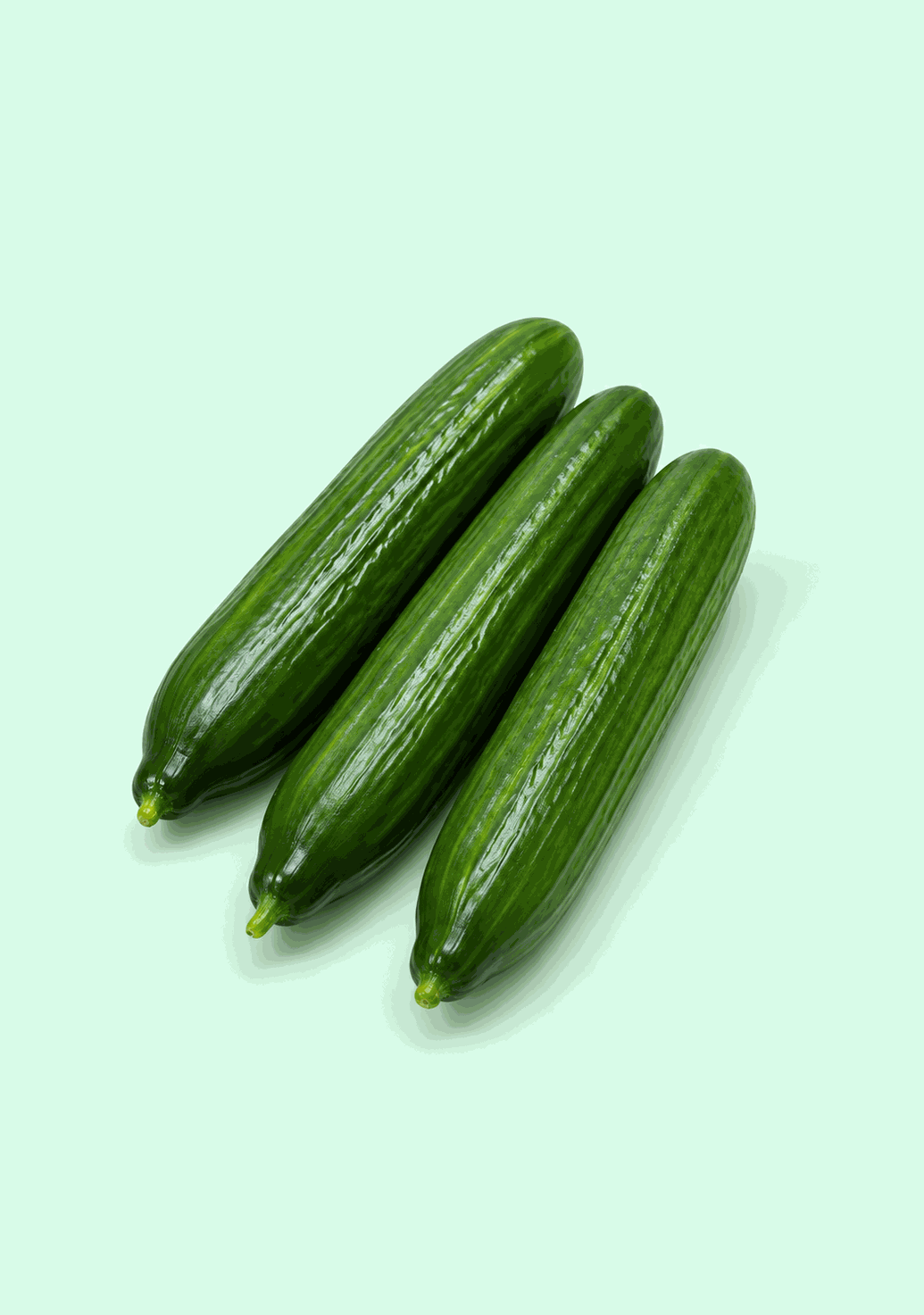 Cucumber European gif