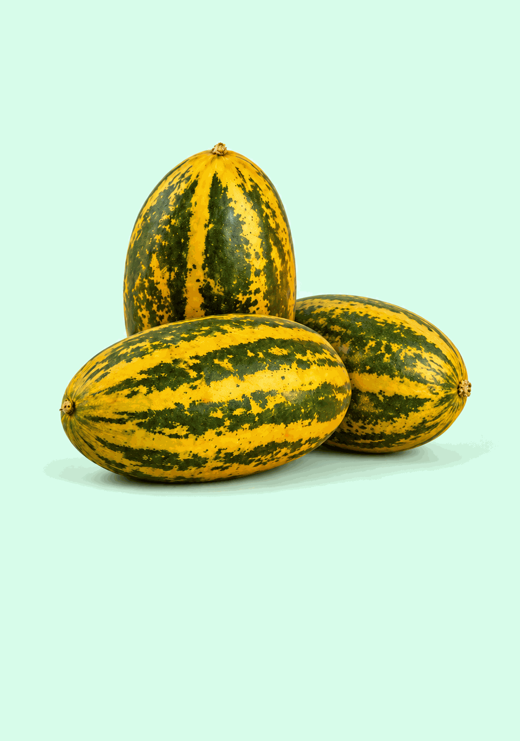 Cucumber Madras gif