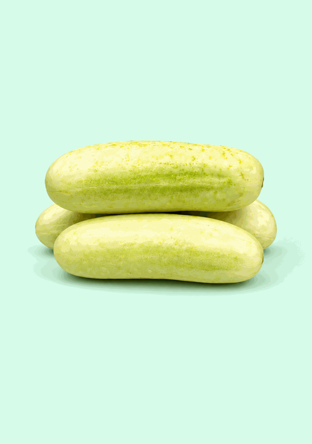 Cucumber White [Ozone - Washed] gif