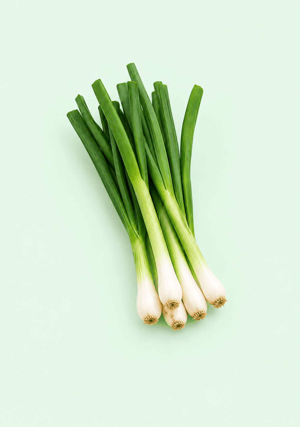Spring Onion gif