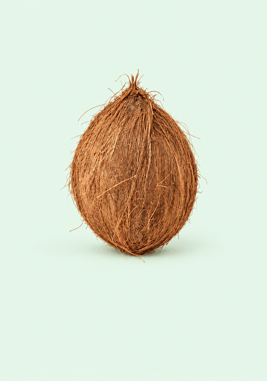 Coconut gif