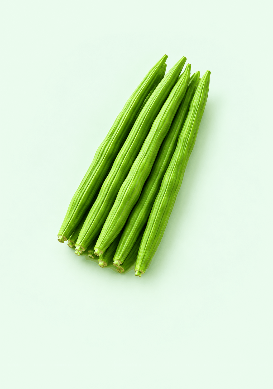 Drumstick [Moringa] gif