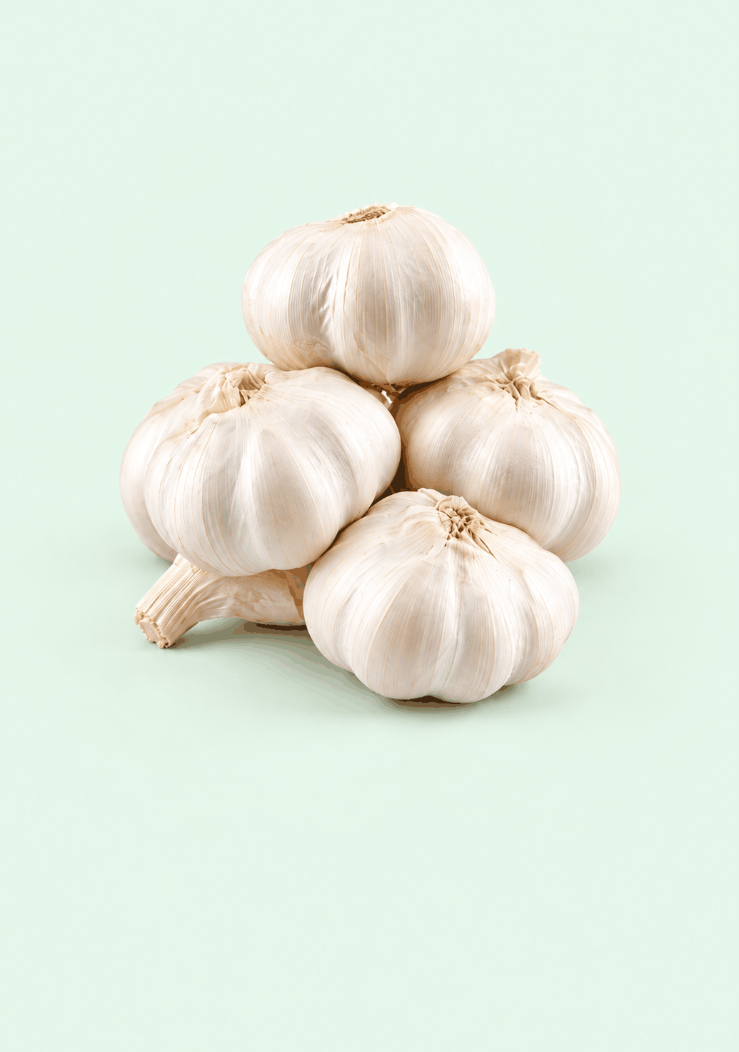 Garlic [Lehsun] gif