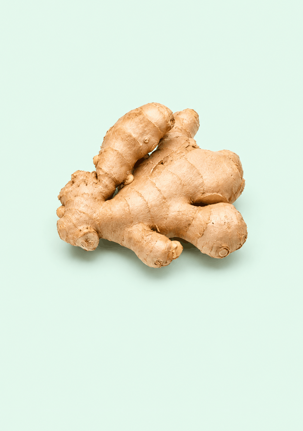 Ginger [Adrak] [Ozone-Washed] gif
