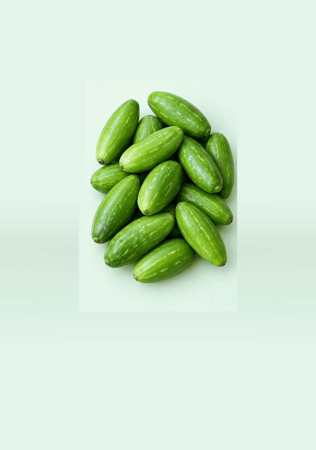 Tendli (Coccinia)gif