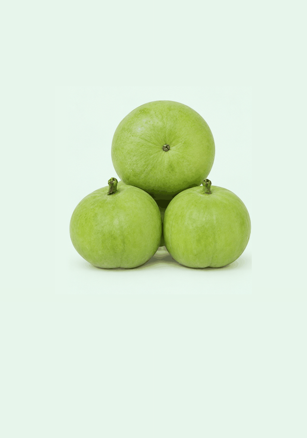Round Gourd [Tinda] gif
