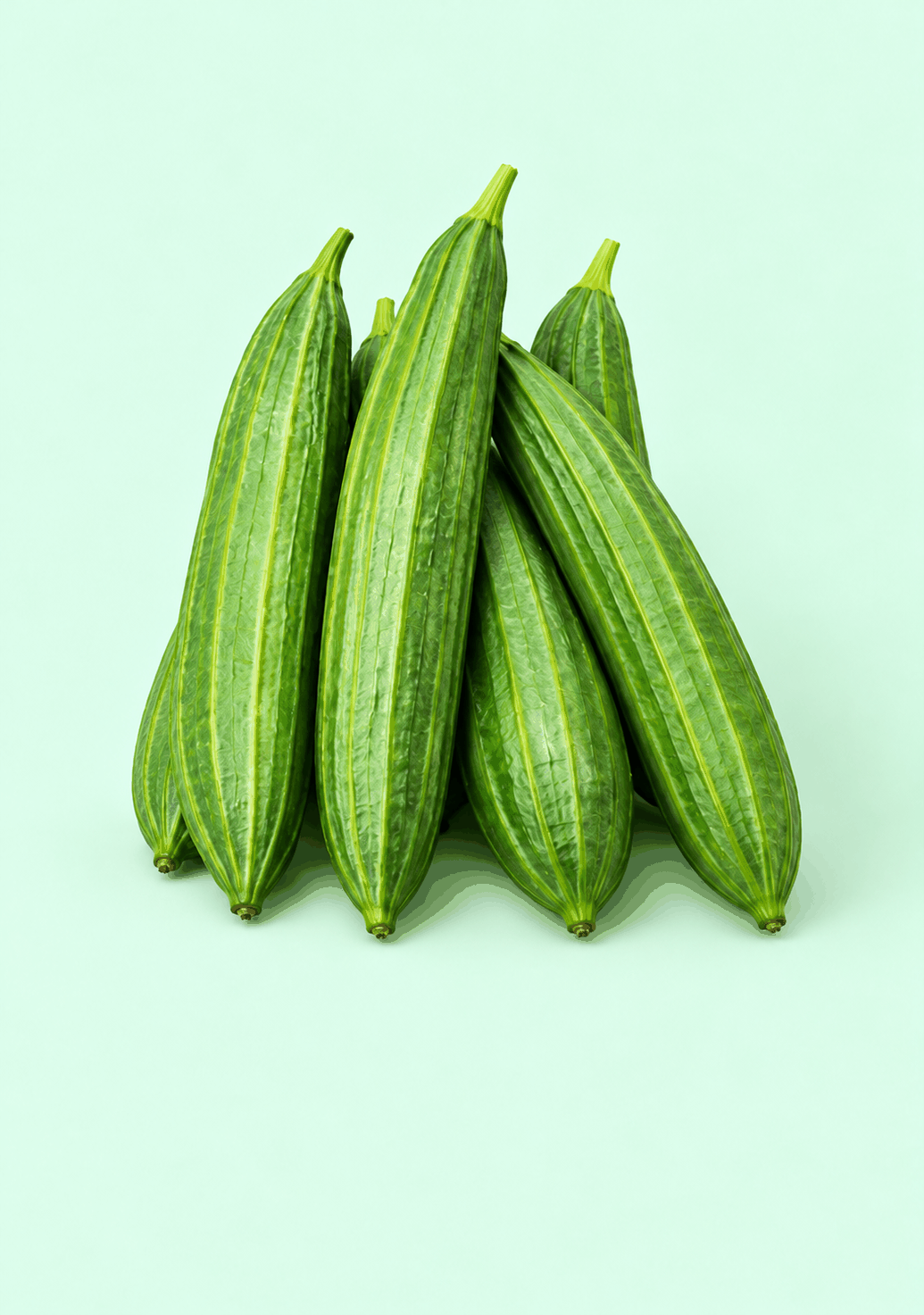 Ridge Gourd [Turai] gif