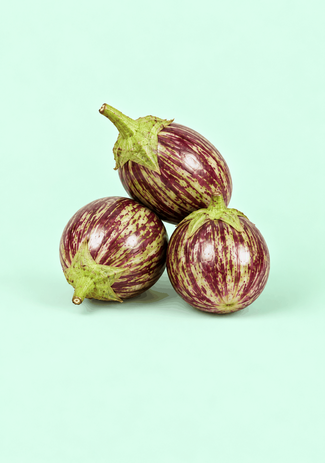 Brinjal Kateri gif