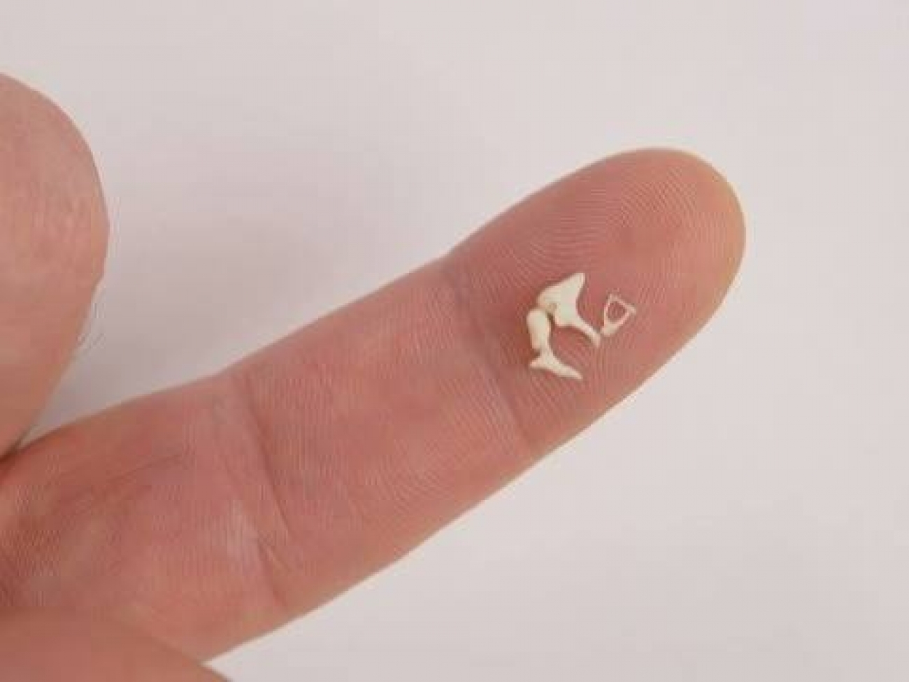 Smallest bone in the human body | Plugon