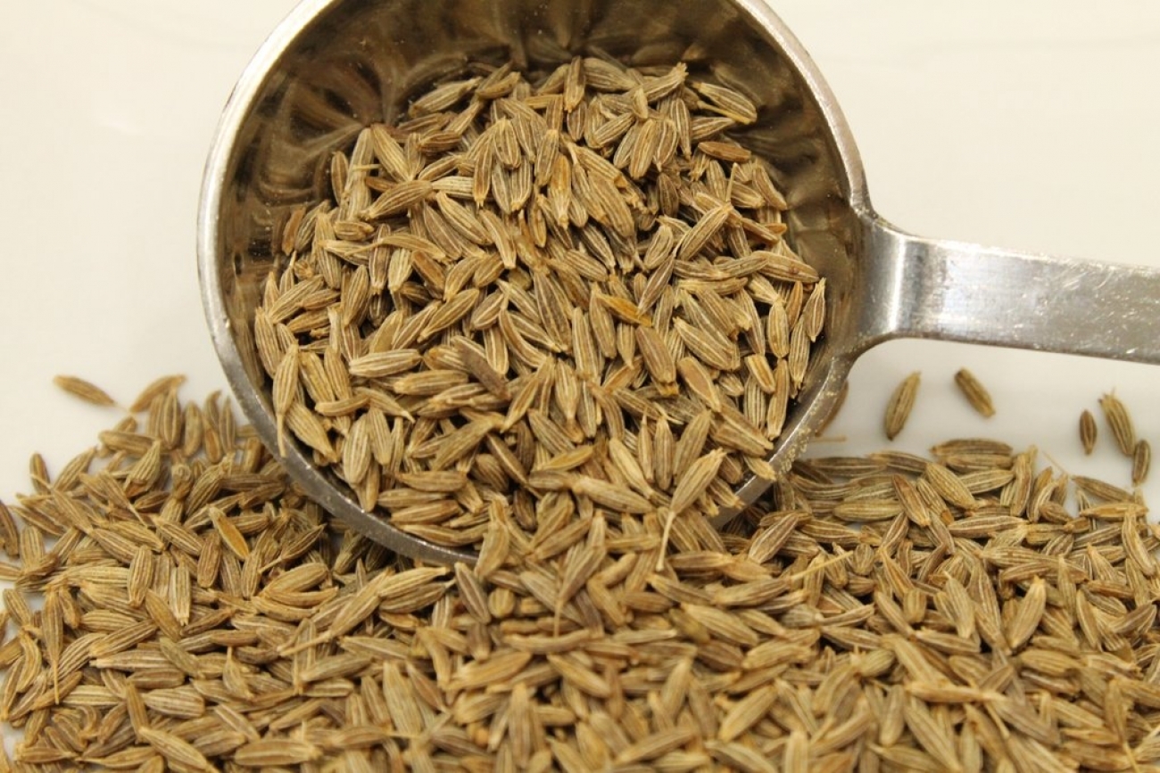 Cumin Seed - benefits and side effects | Plugon