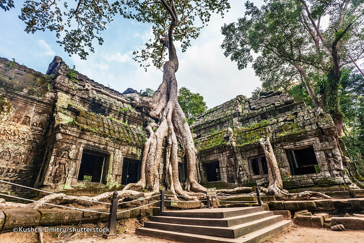 Ta Prahm Temple, Cambodia