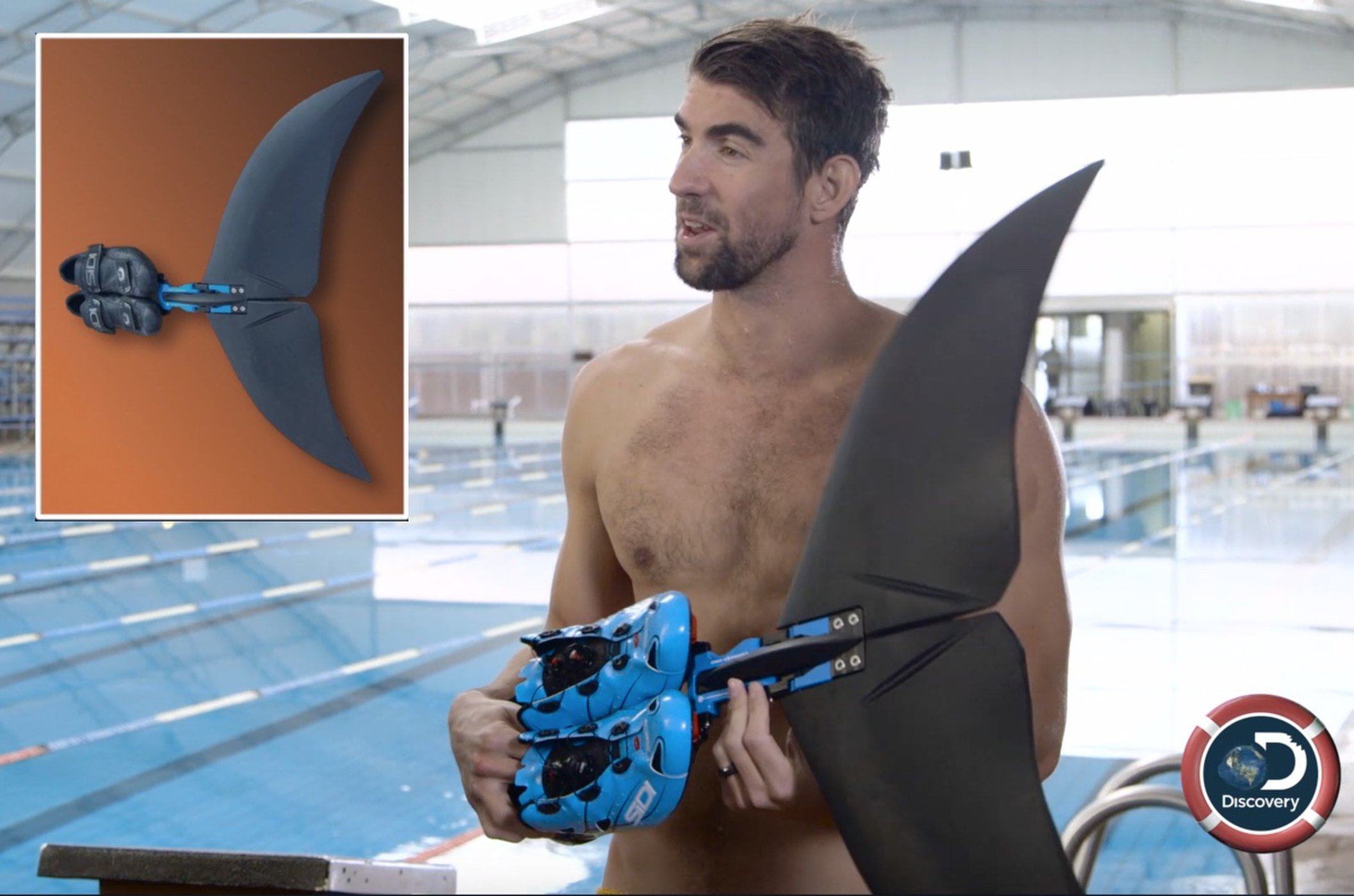 mical phelps vs shark