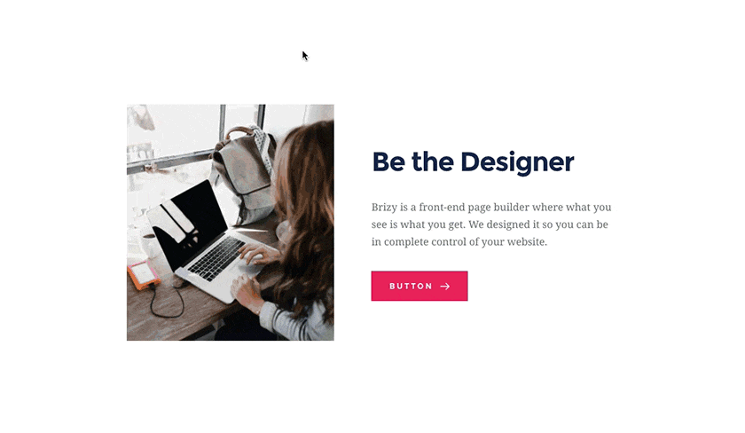 Brizy – Page Builder