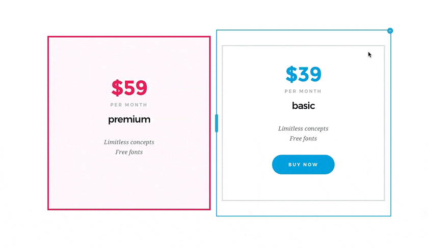 Brizy – Page Builder