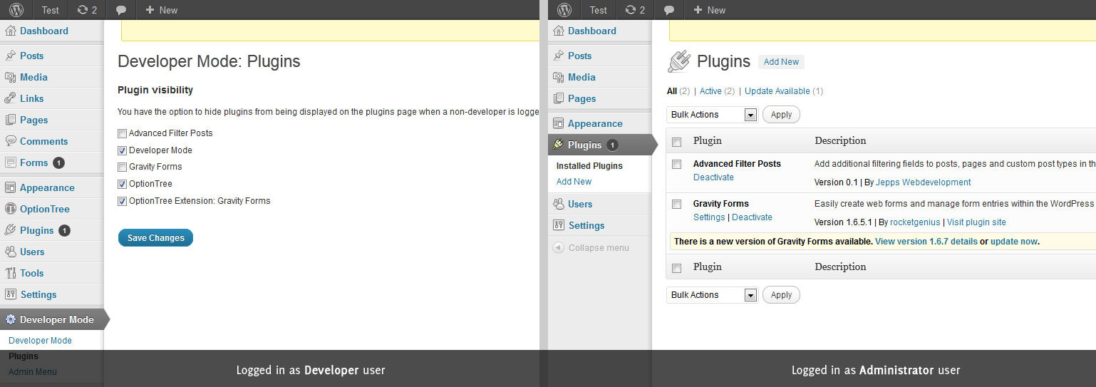Developer Mode