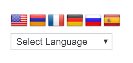 Translate WordPress &#8211; Google Language Translator