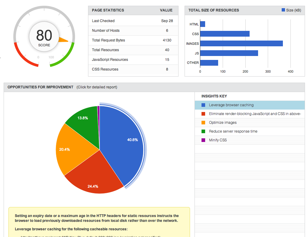 Insights from Google PageSpeed