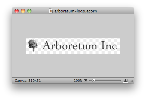 Login Logo