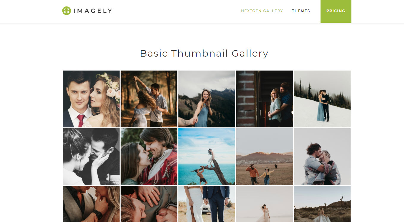 Photo Gallery, Sliders, Proofing and Themes Plugin Review