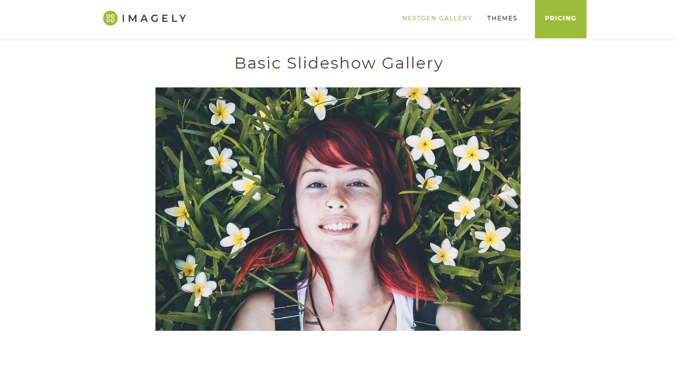 Photo Gallery, Sliders, Proofing and Themes Plugin Review