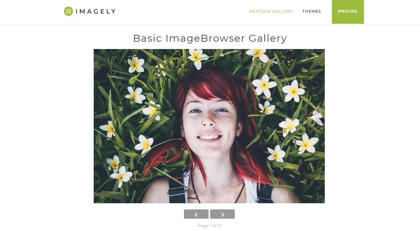 Photo Gallery, Sliders, Proofing and Themes Plugin Review