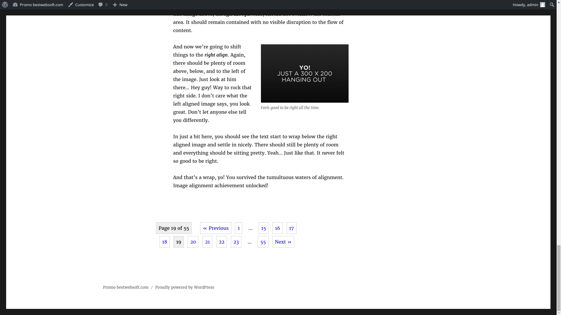 Pagination by BestWebSoft – Customizable WordPress Content Splitter and Navigation Plugin