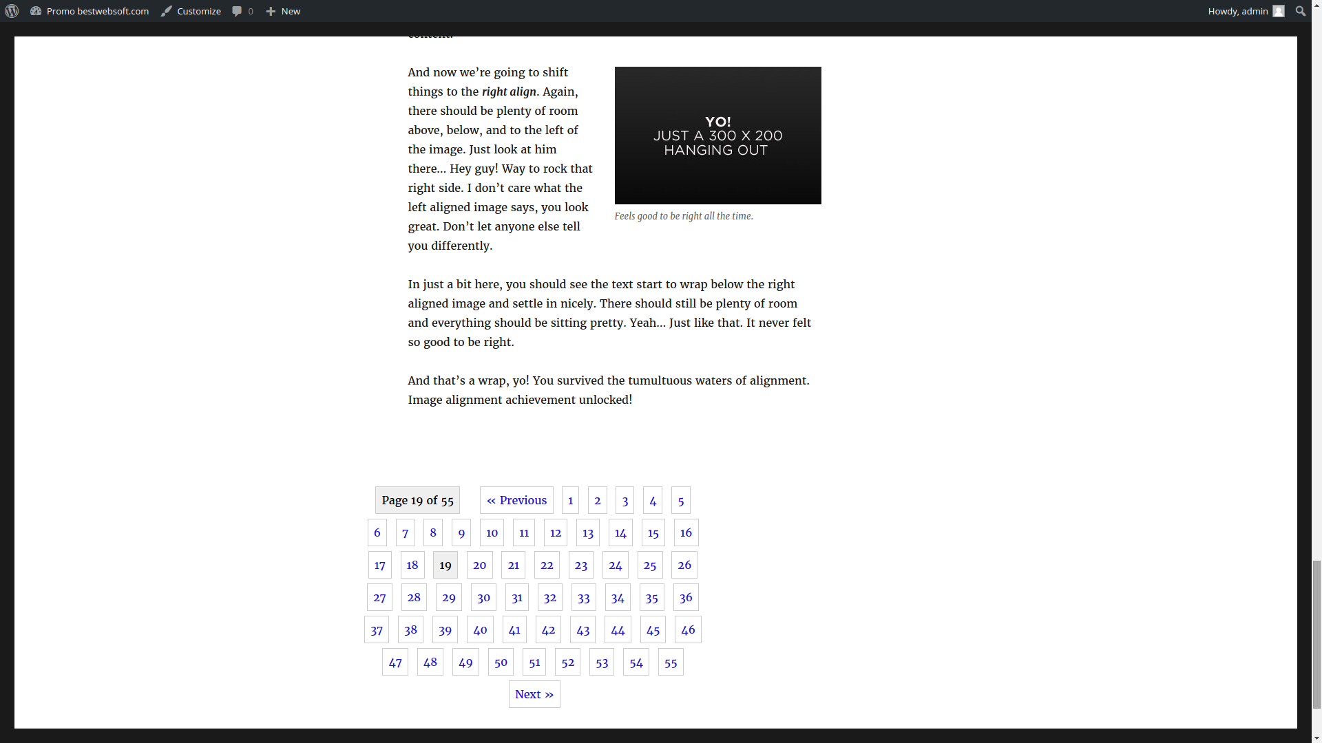 Pagination by BestWebSoft – Customizable WordPress Content Splitter and Navigation Plugin