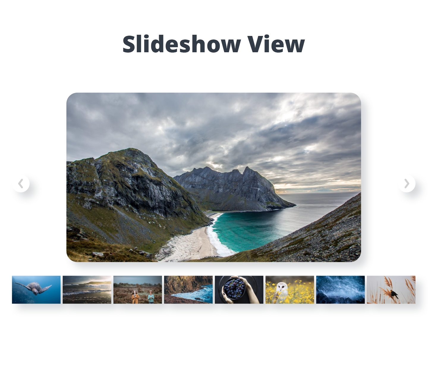 Photo Gallery by 10Web: Pricing, Reviews and More