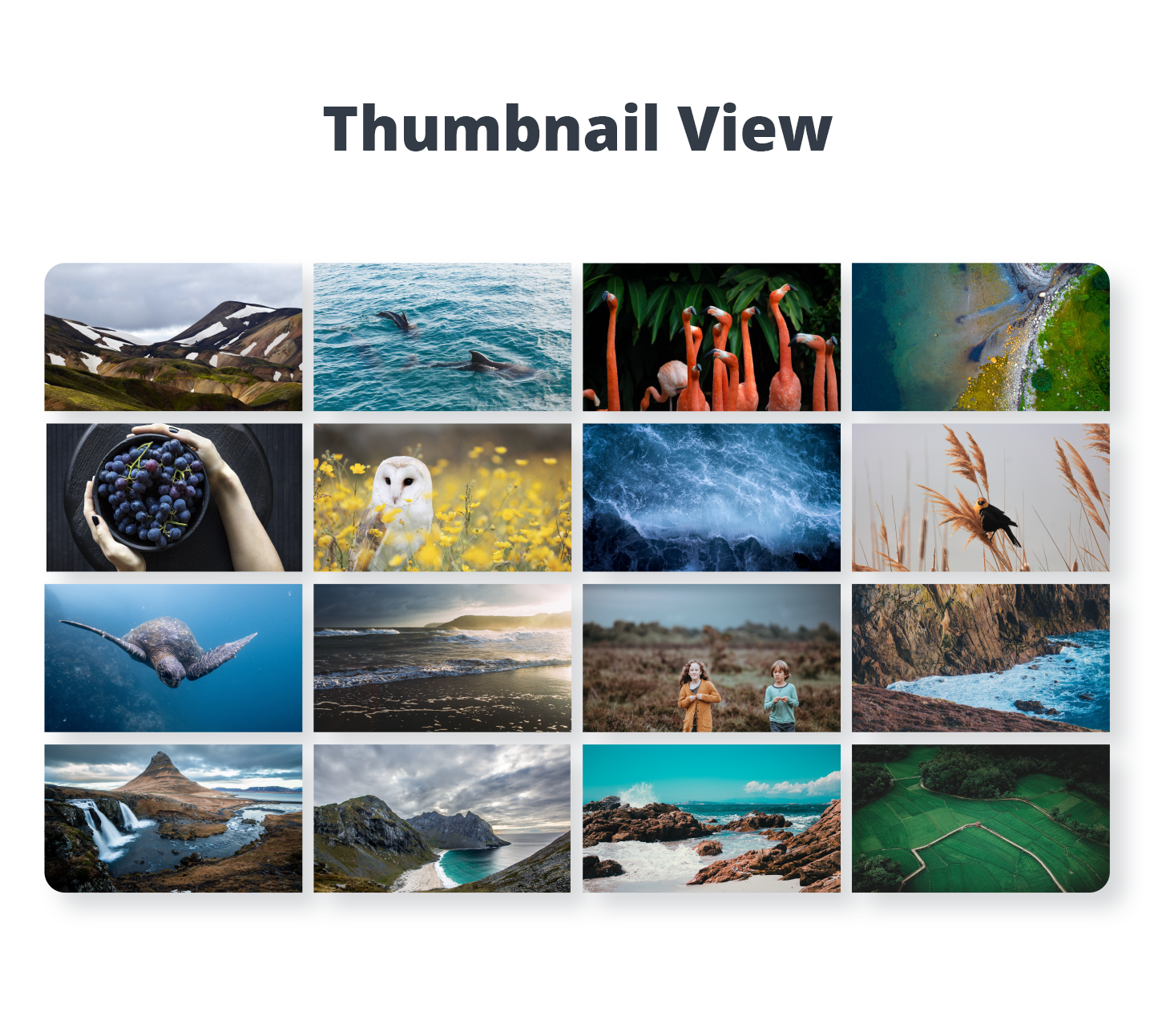 Photo Gallery by 10Web: Pricing, Reviews and More