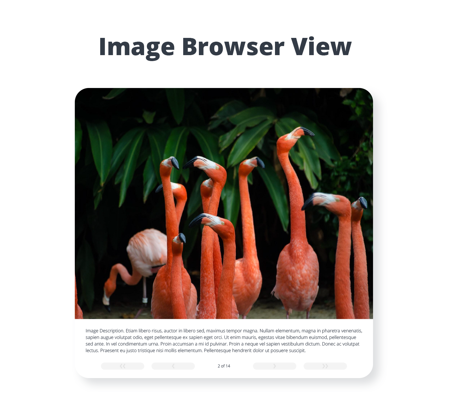 Photo Gallery by 10Web: Pricing, Reviews and More