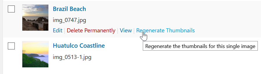 Regenerate Thumbnails