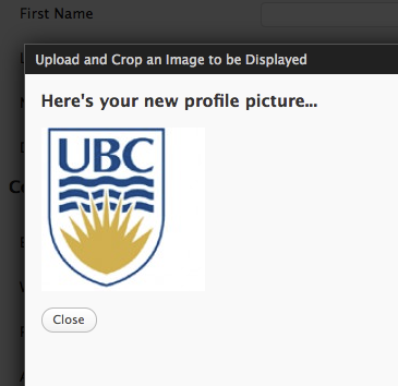 User Avatar