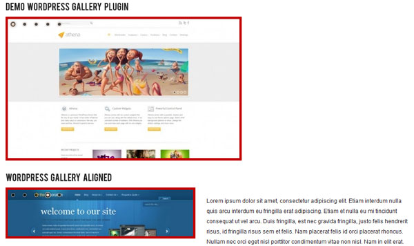 WordPress Gallery Plugin