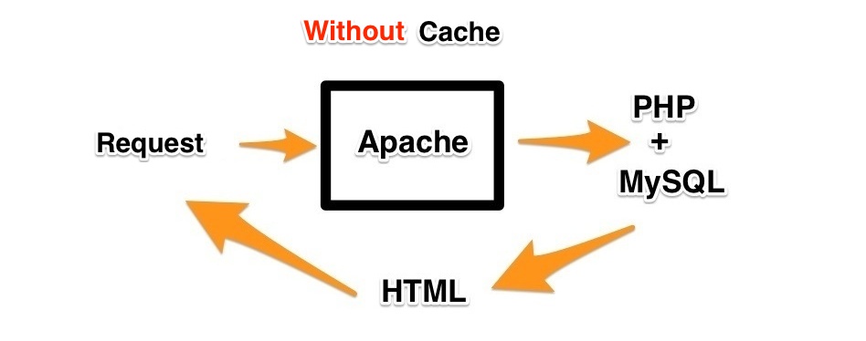 WP Fastest Cache