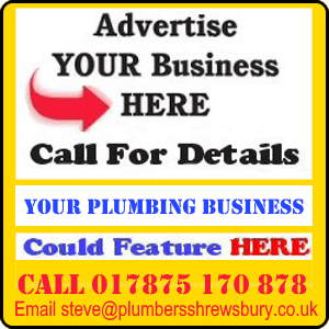 Advert offering rental of pages to local plumbing businesses.