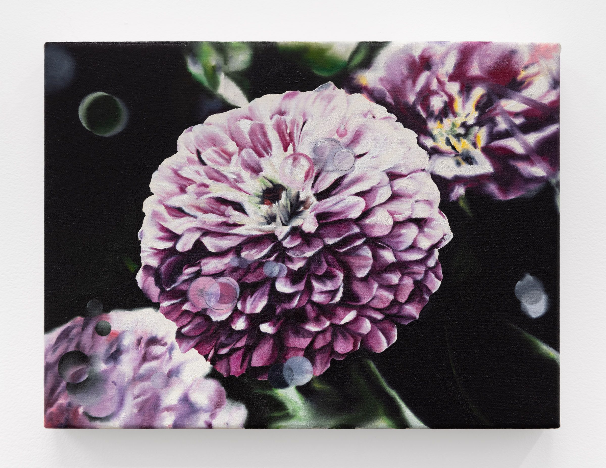 Michael Thompson, "Zinnia", 22.9 × 30.5 cm, Huile sur toile / Oil on Canvas, 2023, 2000 $, Franz Kaka