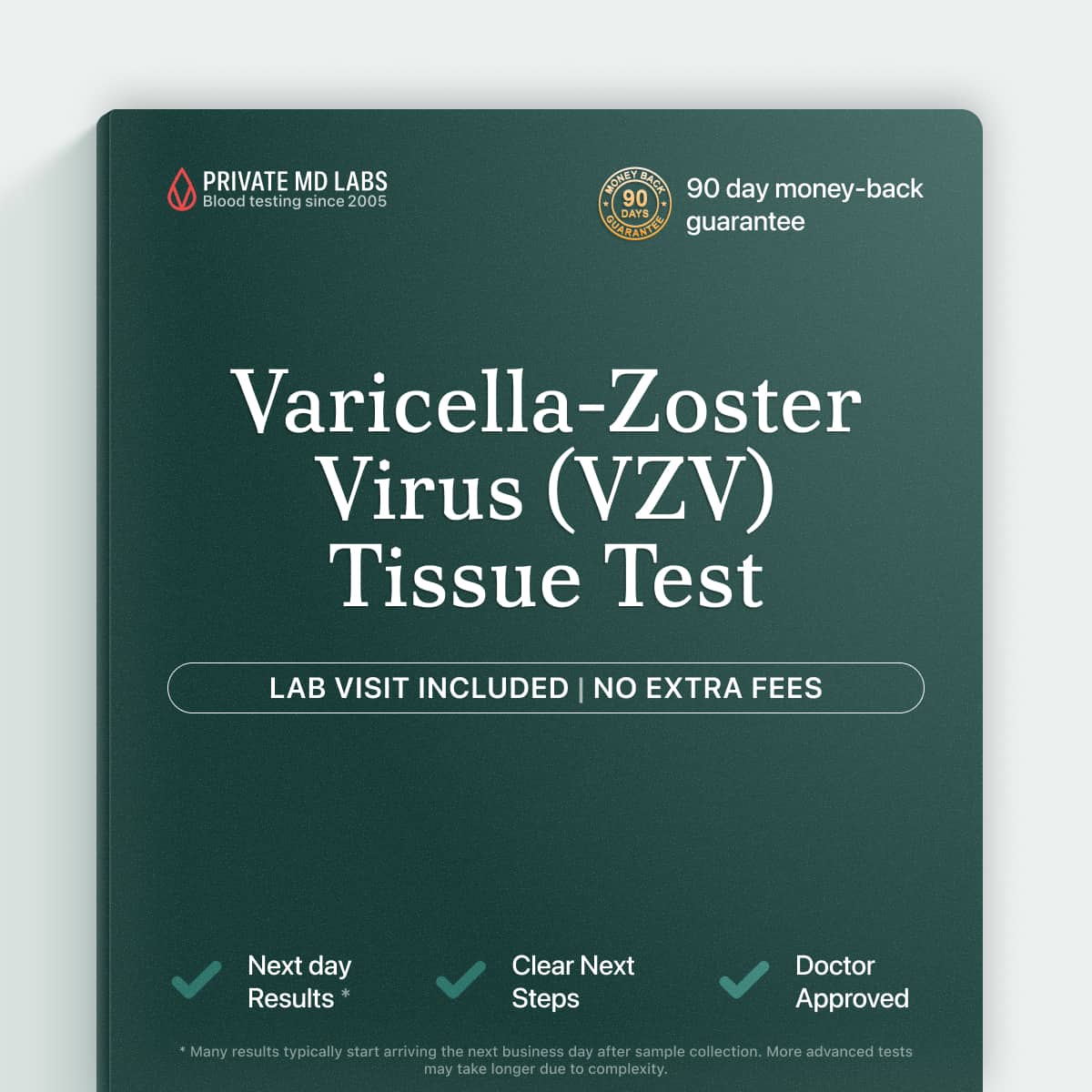 Tissue-based VZV test for diagnosing shingles or chickenpox-related infections in biopsy samples
