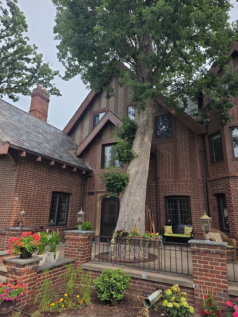 Summit Avenue, Saint Paul, MN, US