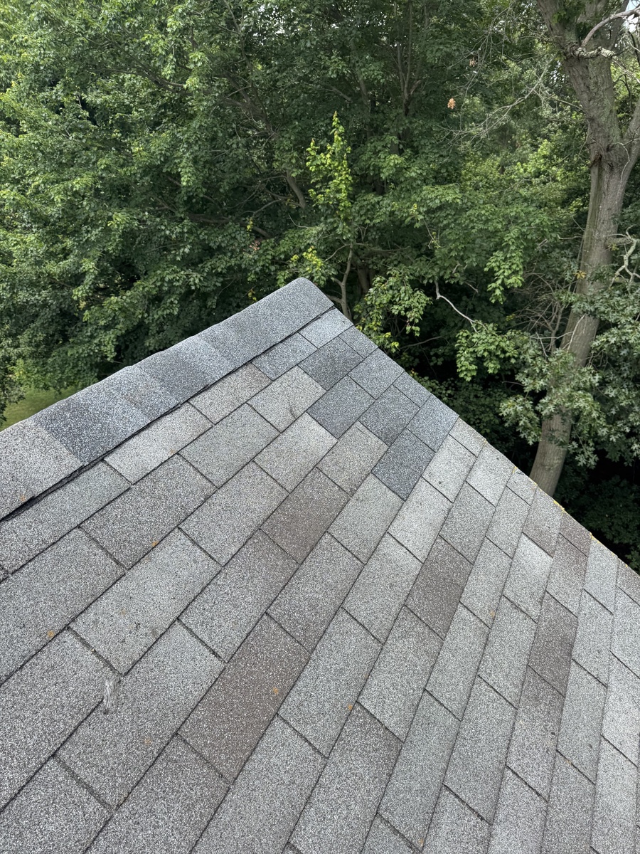 9 Colleen Way , Neptune City, NJ, US