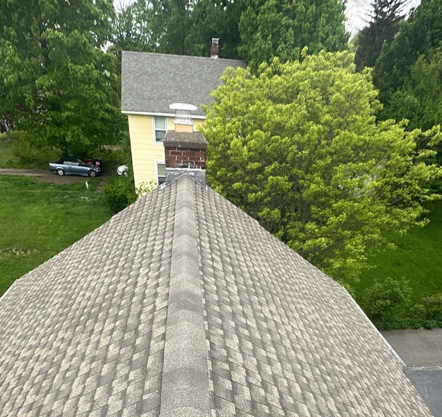 Big Dawg Home Improvements — Residential Roofing